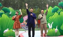 近期联动爆料新闻视频下载,新闻视频背后的真相与影响